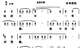 云南民歌有哪些